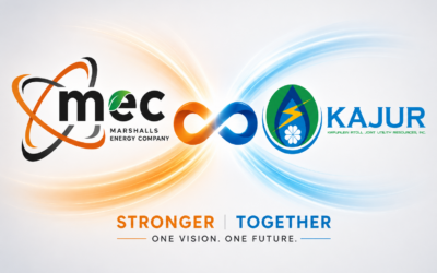 One Nation, One Power Company